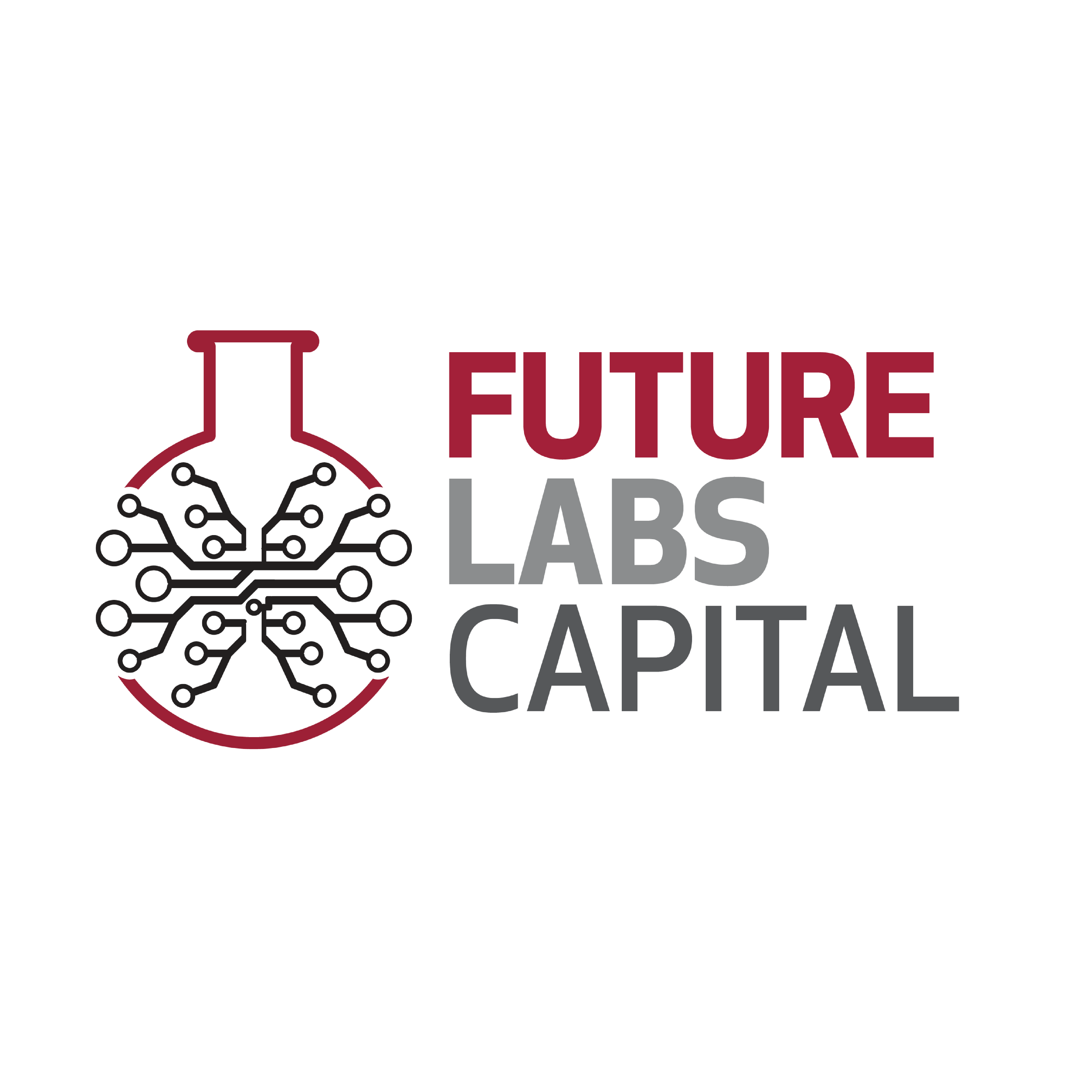 Future Labs Capital logo