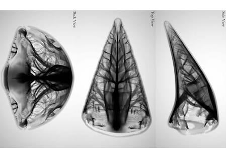 Narrow-Band Topology Optimization on a Sparsely Populated Grid