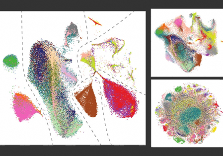 panoramic data