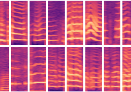 AI patient datasets