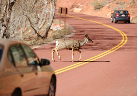 semiautonomous car hazards