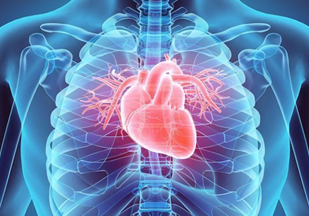 cardiac research