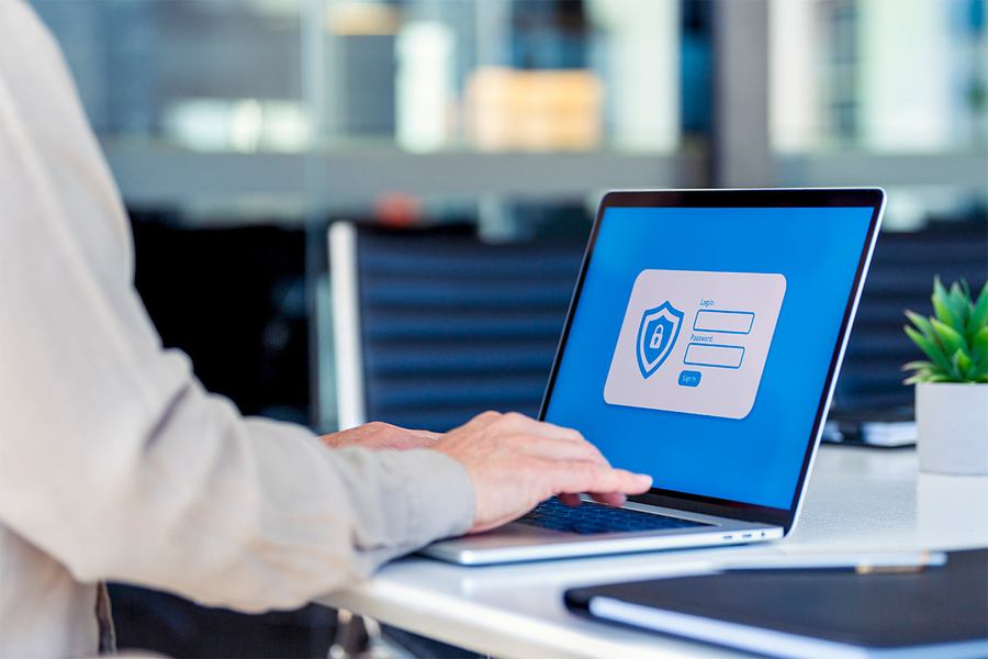 Person on computer looking at security program