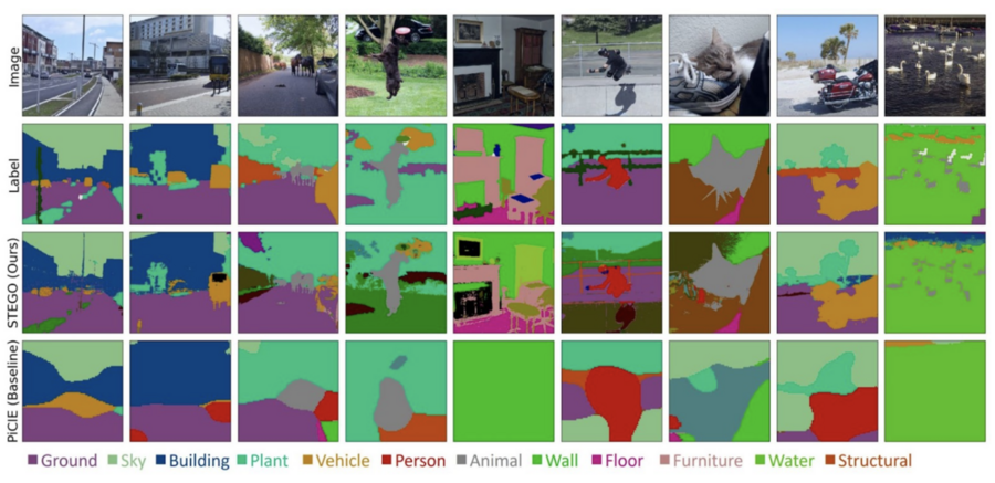 Nine by three grid of images with the top row actual photographs with the boxes underneath rendered as colorful graphical representations of different parts of the photo