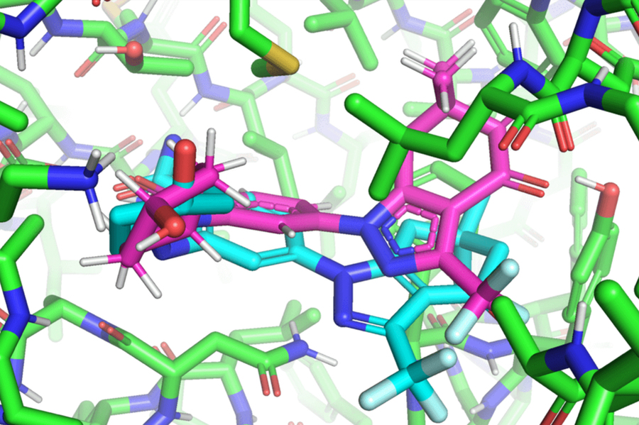 Graphic illustration of many molecules, some with ring-shapes, in different colors and angles, with the colors representing different parts of the molecules. A pink and a cyan molecure are featured at center, while most of the rest are primarily green.