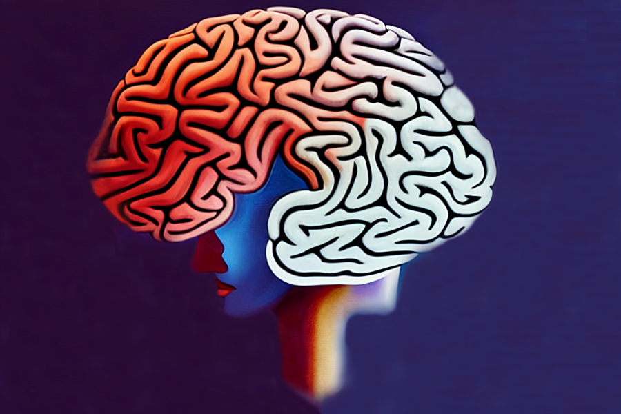 Illustration of a large brain on top of a woman's face and neck, against a navy background. The front portion of the brain is shaded red; the rest is white.