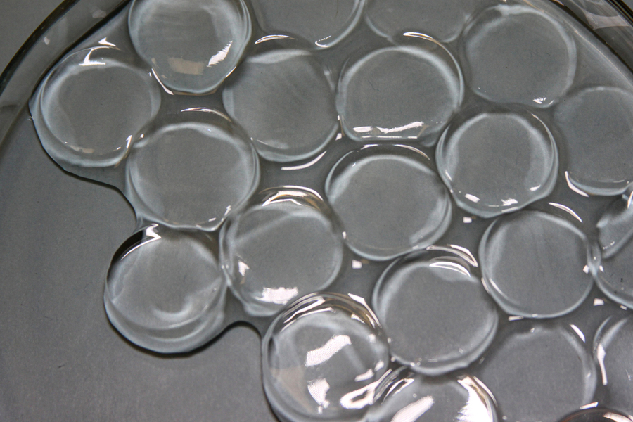 hydrogel discs swollen in water