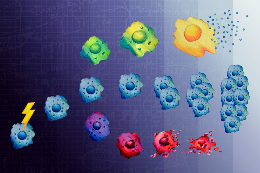 blue purple red yellow green cells