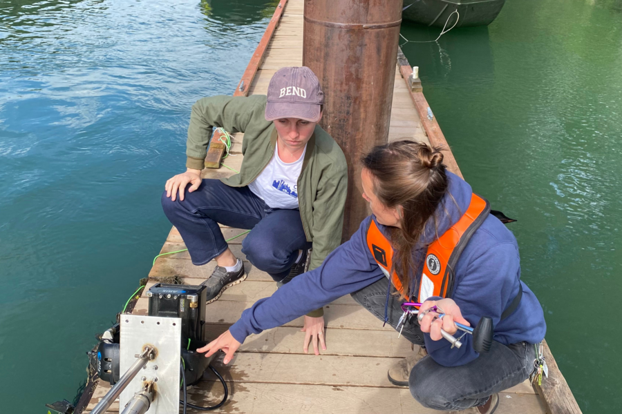 MIT Assistant Professor Sara Beery (left) discussed a sonar monitoring system with another researcher (Credits: Justin Kay).