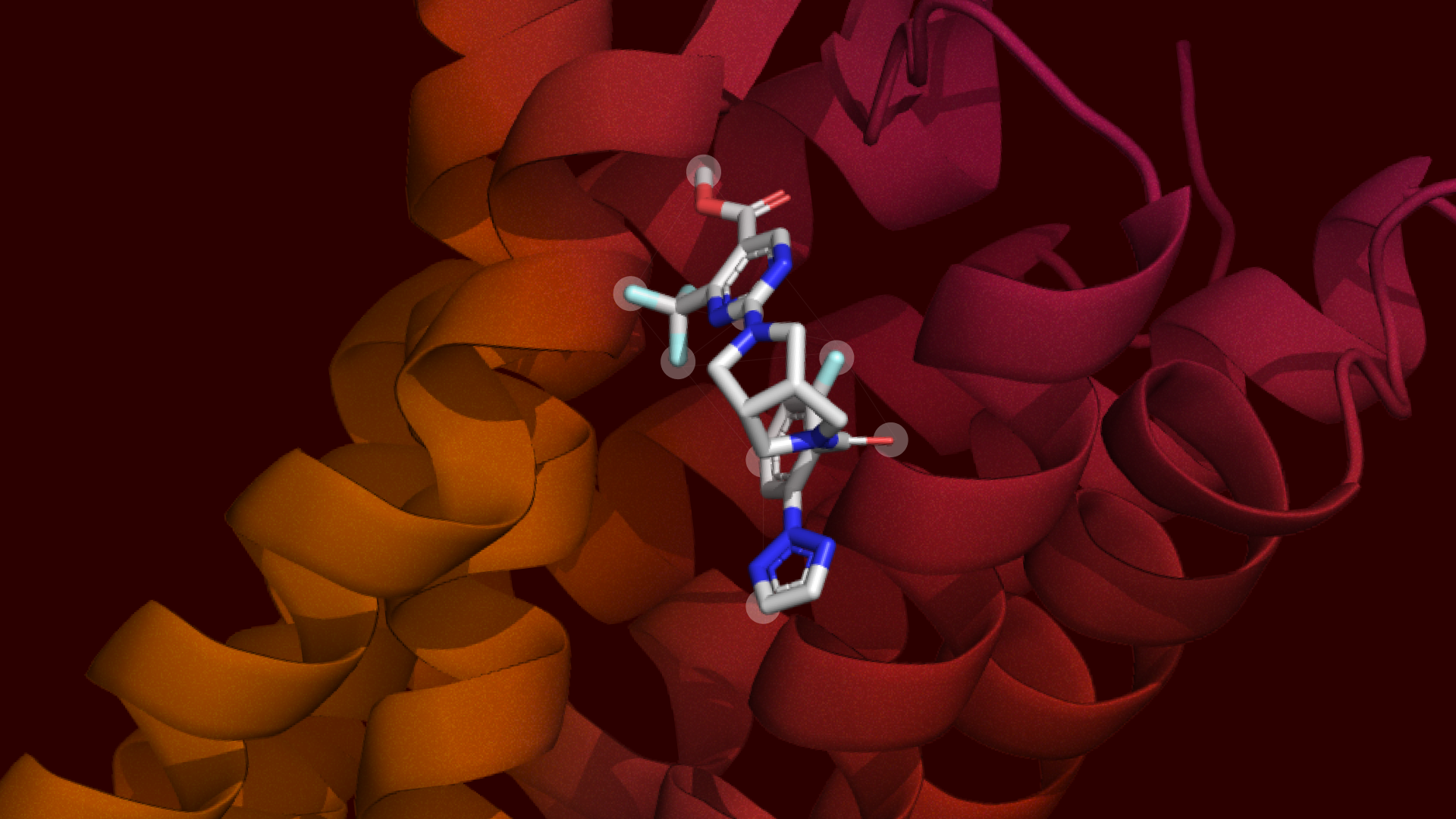 A small molecule binds to an OX2 protein. The new foundation model Boltz-2, developed by researchers at MIT and Recursion, achieves state-of-the-art performance in protein binding affinity prediction (Image: Courtesy of the researchers).