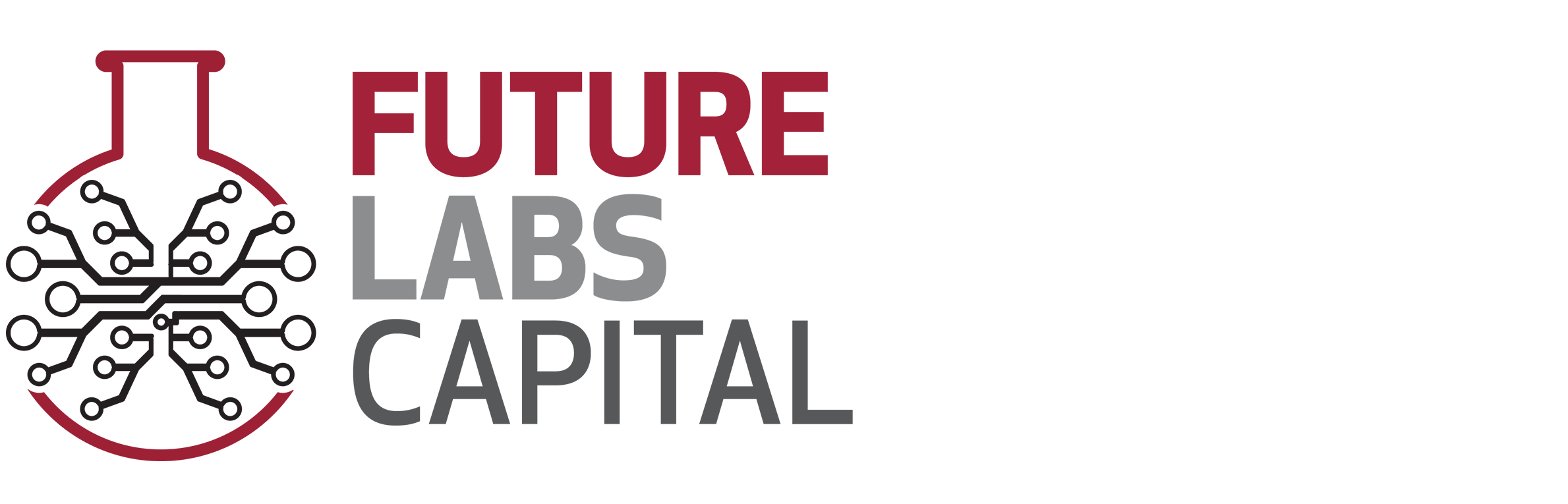Future Labs Capital