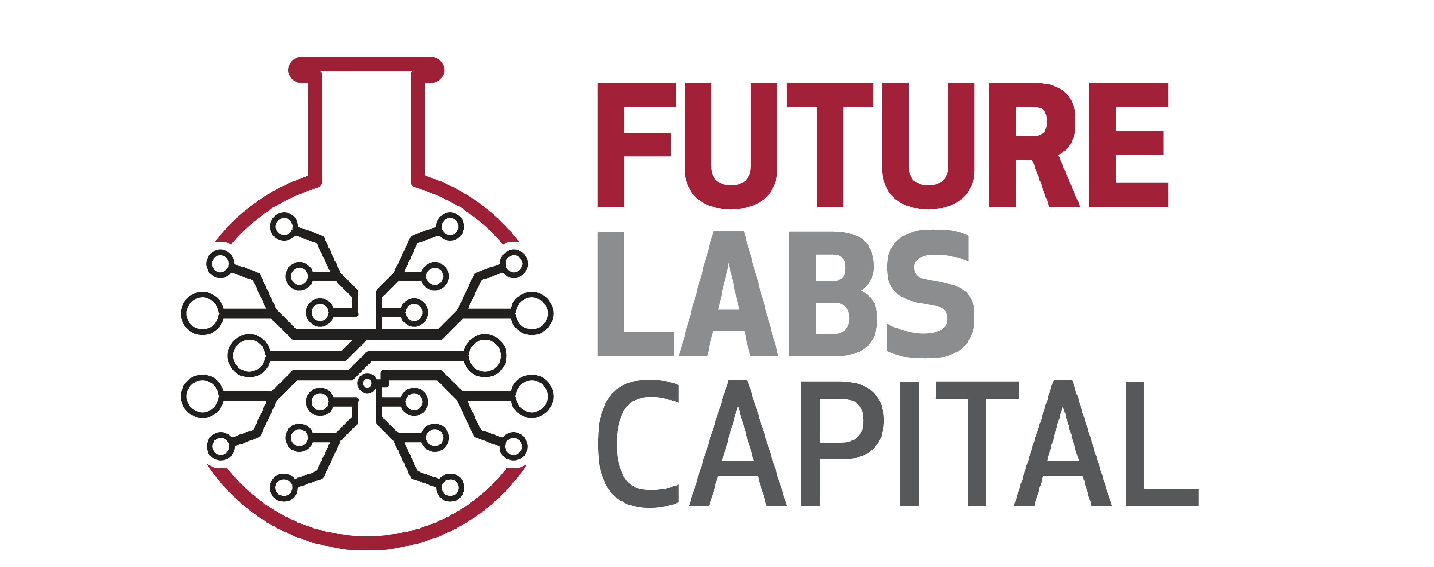 Future Labs Capital logo