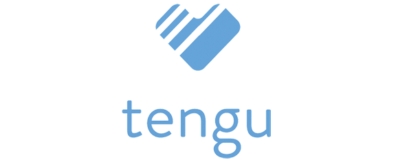 Tengu Inc